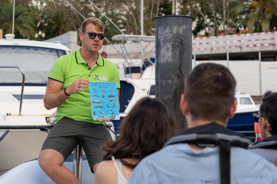 Funchal: RIB Whale Watching Cruise and Optional Dolphin Swim - Private Charter Option for Families and Friend Groups