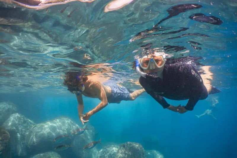 Funchal: Snorkeling Adventure in Eco-Park / Shore or by Boat - Your 2-hour plan: briefing, swim time, and easy pacing