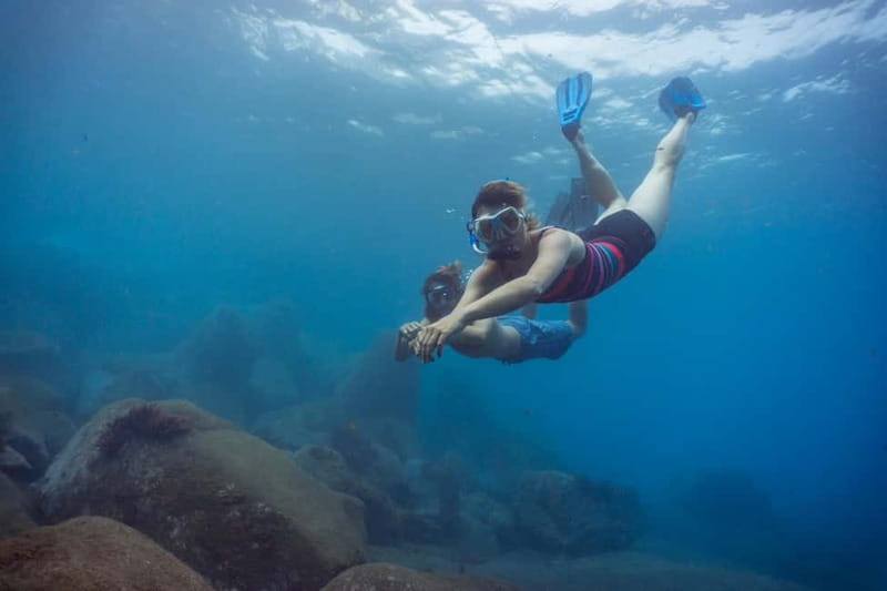 Funchal: Snorkeling Adventure in Eco-Park / Shore or by Boat - Staff support and small-group feel
