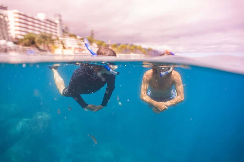 Funchal: Snorkeling Adventure in Eco-Park / Shore or by Boat - Getting equipped and learning the basics (no guessing required)