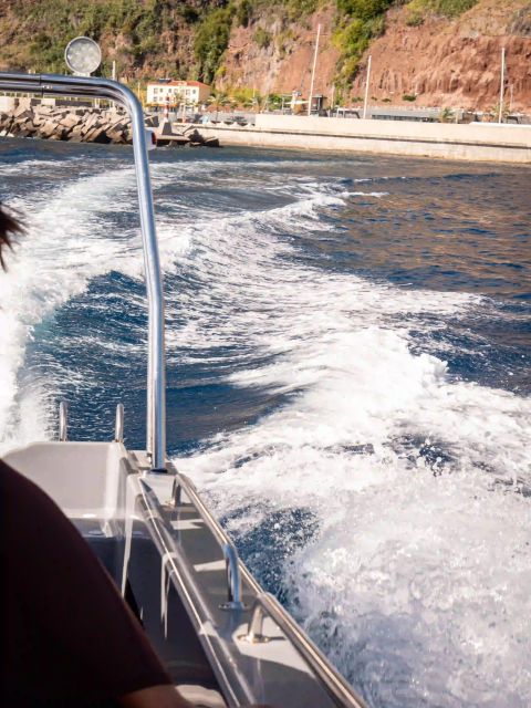 Funchal: Speedboat SEE THE ISLAND AND LIFE AT SEA - What the guide actually does on the water
