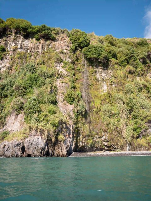 Funchal: Speedboat SEE THE ISLAND AND LIFE AT SEA - Meeting point tips so you don’t lose time on the dock