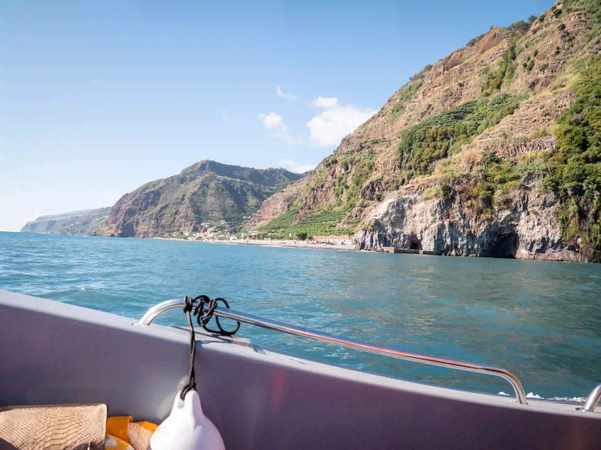 Funchal: Speedboat SEE THE ISLAND AND LIFE AT SEA - Who should book this Funchal sea tour