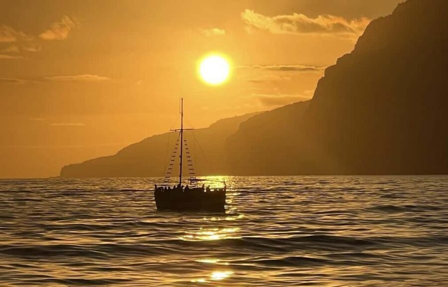 Funchal: Sunset Tour on Traditional Madeiran Boat w/ Drinks - Wildlife chances: dolphins and the occasional close-up