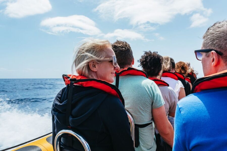 Funchal: Whale and Dolphin Watching Speed Boat Tour - Speed, seating, and real comfort: how to ride without turning it into a misery test