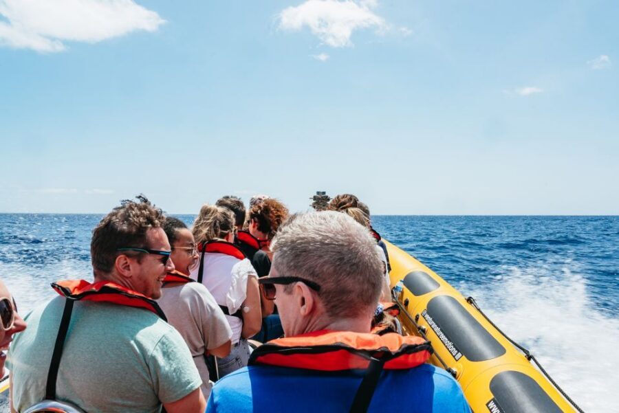 Funchal: Whale and Dolphin Watching Speed Boat Tour - Price and value: is $56 fair for a 2.5-hour whale-and-dolphin hunt?