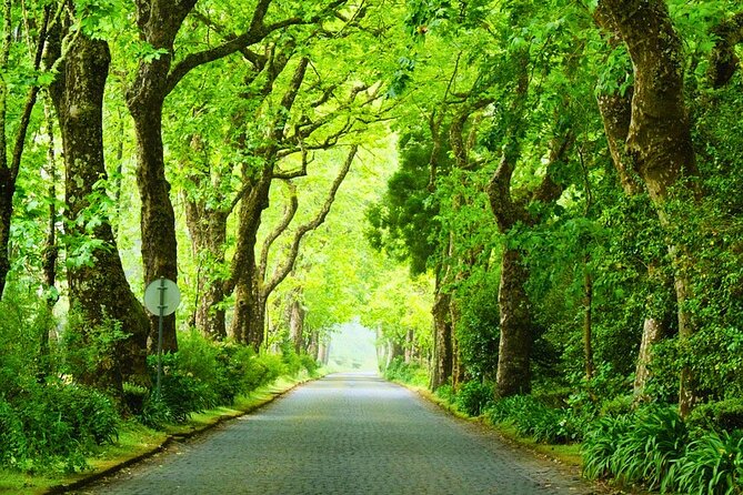Furnas: Mystic Tour (w/Dinner) - Hot Springs - Key highlights you’ll feel right away