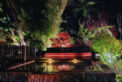 Furnas: Mystic Tour (w/Dinner) - Hot Springs - Lagoa das Furnas: the caldera lagoon moment