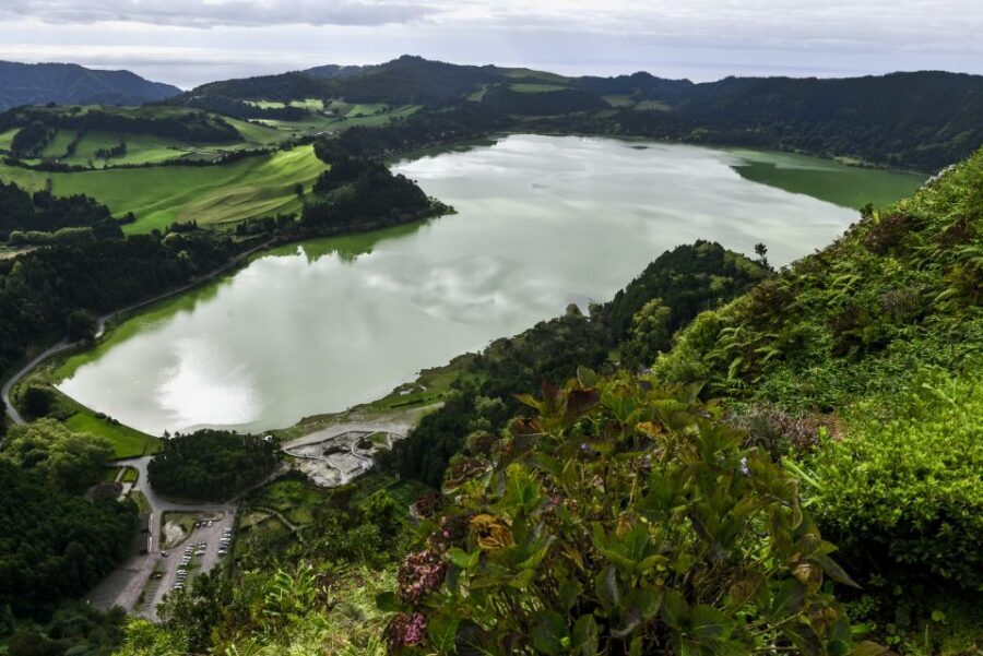 Furnas: Tea Plantations, Lake and Volcano Guided Tour - Gorreana Tea Factory: The Plantation Stop That Actually Has Time