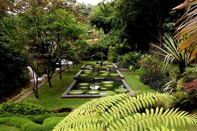 Furnas & Terra Nostra Park: Biologist-guided Botanic Tour +lunch - Lunch in Furnas village: cozido, steam, and mineral-water fountains