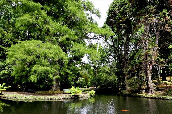 Furnas & Terra Nostra Park: Biologist-guided Botanic Tour +lunch - Terra Nostra Park: guided botanical walk plus time in the thermal pool