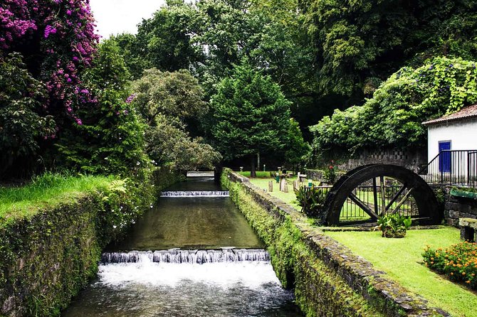 Furnas & Terra Nostra Park: Biologist-guided Botanic Tour +lunch - Who should book this tour, and who should skip it