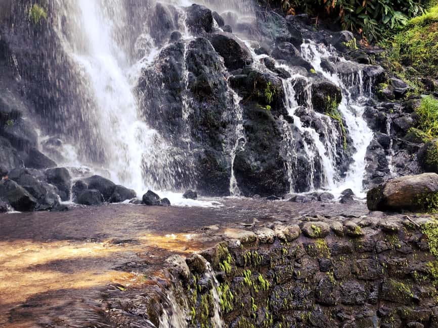 Furnas: Volcano Crater, Lake, Tea Plantation, and Waterfall - Gorreana Tea Factory: The Tea Stop That Actually Teaches Something