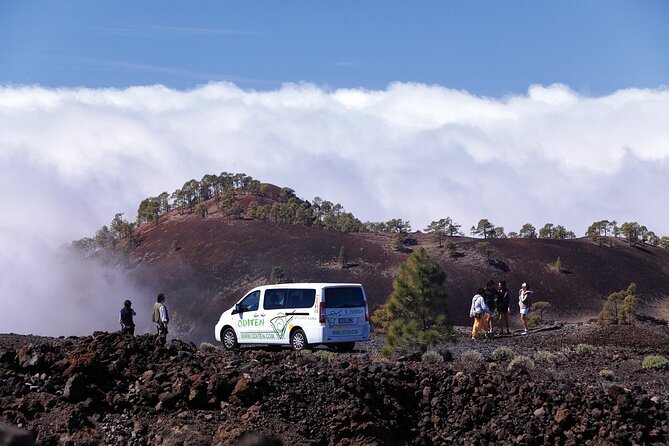 Get to know the Teide National Park and the south of Tenerife on a private tour - Teide in a tight 4 hours: what this private setup buys you