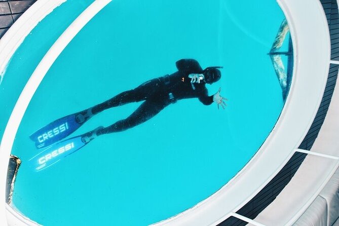Glass Bottom Boat Tour & Snorkeling in São Miguel, Azores - Price and value: why this tour often feels worth it