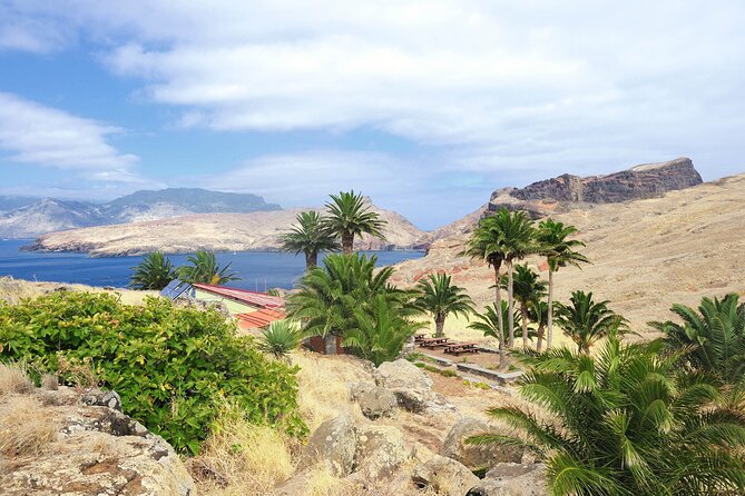 Go East Tour - Madeira Island Excursion - Who this tour is perfect for