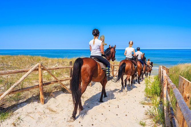 Golden Hour Gallop: Evening Ride in Paros - Key things that make Golden Hour Gallop worth your time