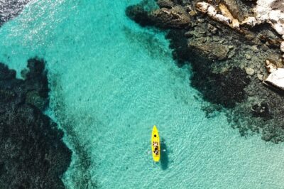 Golfo Aranci: Kayak tour with aperitif&dolphin sighting (max 9 Pax) - Key highlights before you go