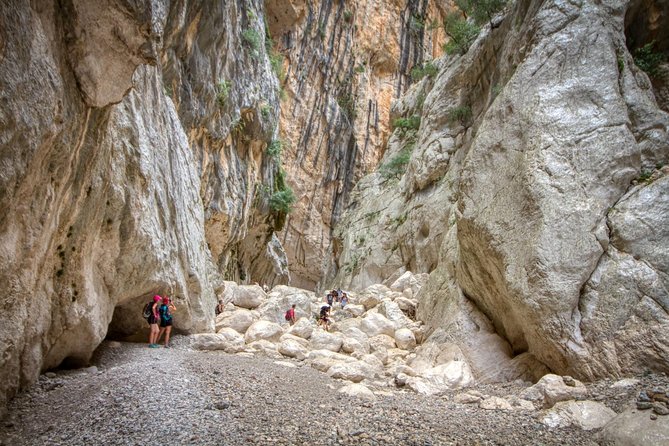 Gorropu canyon guided hike - Canyon microclimate: plants you’ll notice because the air changes