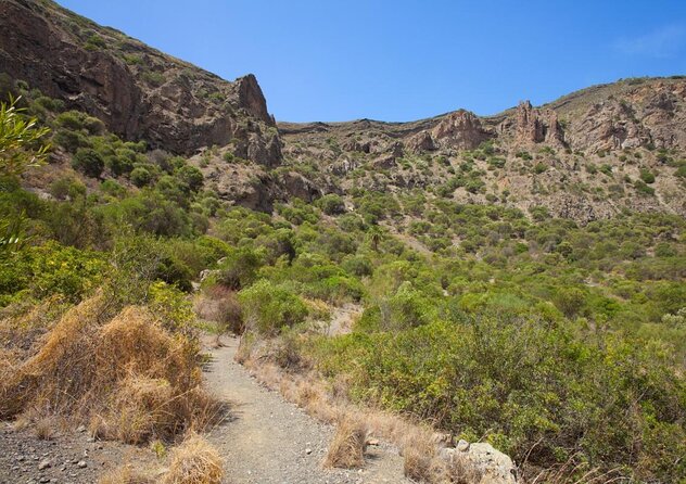 Gran Canaria 7 Highlights Small Group Tour with Tapas Picnic - Key things that make this tour worth your time
