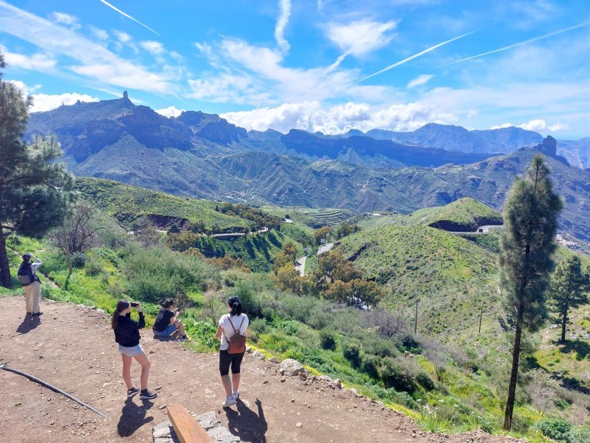 Gran Canaria 7 Highlights Small Group Tour with Tapas Picnic - Value and price: is $115 really fair for what you get?