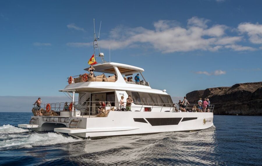 Gran Canaria: Afternoon Catamaran Cruise with Food & Drink - Entertainment That Adds Flavor (When It’s Happening)