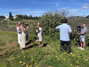 Gran Canaria: Best Wineries and Views Tour - Pickup From the South: The Most Important Logistics Detail