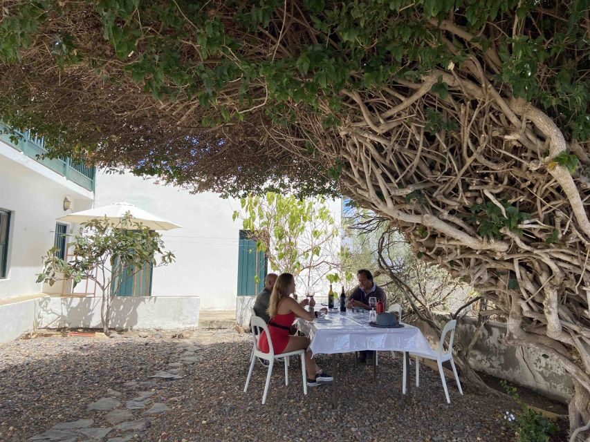 Gran Canaria: Best Wineries and Views Tour - The Winery Visit: Two Hours Where You Taste, Tour, and Ask Questions