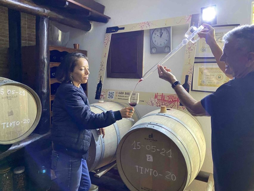Gran Canaria: Best Wineries and Views Tour - Outdoor Tasting and Local Pairings: What Gets Served Matters