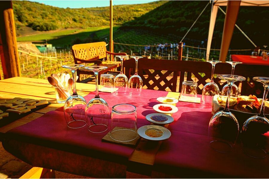 Gran Canaria: Best Wineries and Views Tour - Small Group of 8: Why the Day Feels Easier