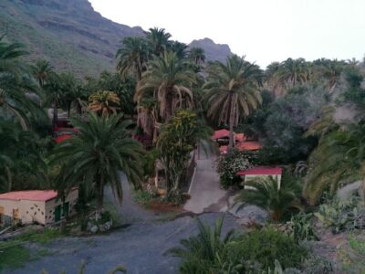 Gran Canaria: Camel Ride at Camel Safari Park - Getting to Camel Safari Park La Baranda and finding your slot