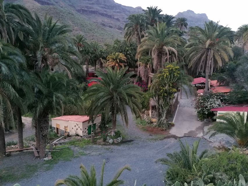 Gran Canaria: Camel Ride at Camel Safari Park - Animals and tropical garden time: feeding, watching, and keeping it chill