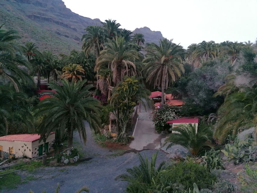 Gran Canaria: Camel Ride at Camel Safari Park - Getting to Camel Safari Park La Baranda and finding your slot