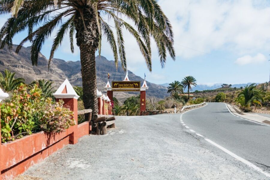 Gran Canaria: Camel Ride Safari w/ Optional Food & Transport - Should you book this Camel Ride Safari with optional Food and Transport?