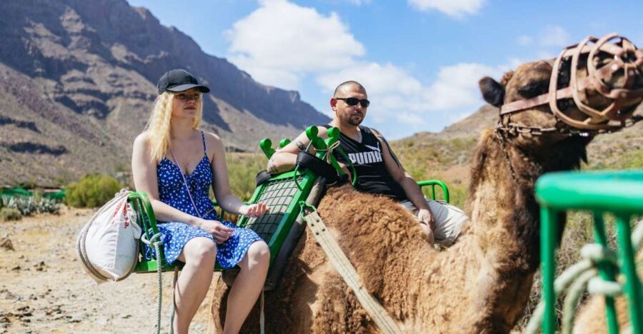 Gran Canaria: Camel Ride Safari w/ Optional Food & Transport - La Baranda and the drive into Gran Canaria’s palm ravine