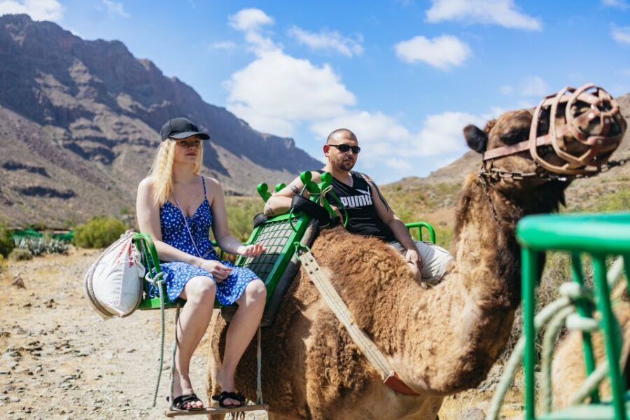 Gran Canaria: Camel Ride Safari w/ Optional Food & Transport - The 1-hour camel ride through the Oasis of the 1,000 Palms