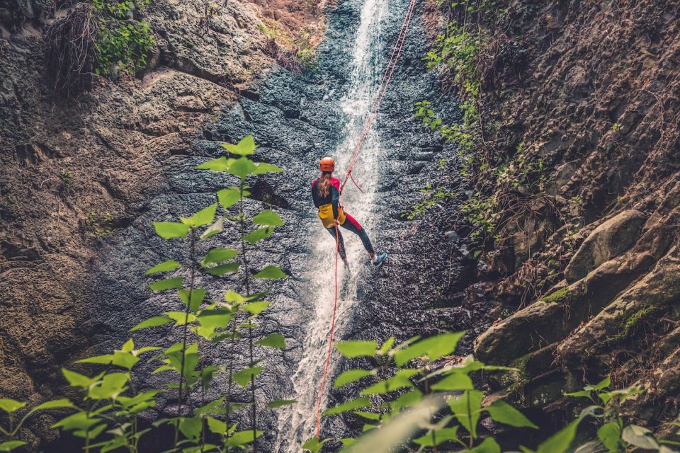 Gran Canaria: Canyoning in the Rainforest - Key highlights worth planning around