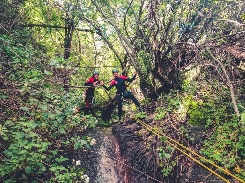 Gran Canaria: Canyoning in the Rainforest - Why canyoning in Gran Canaria feels different than “just a hike”