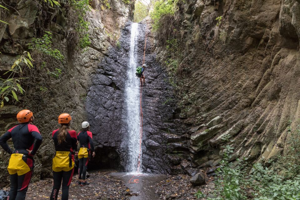 Gran Canaria: Canyoning in the Rainforest - Riverbeds, rock slides, and waterfalls: the part you’ll remember