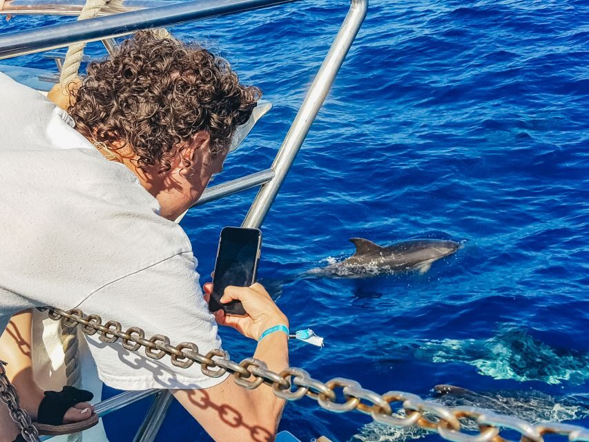 Gran Canaria: Catamaran Dolphin Watch Cruise with Snorkeling - What to bring (and what to avoid)