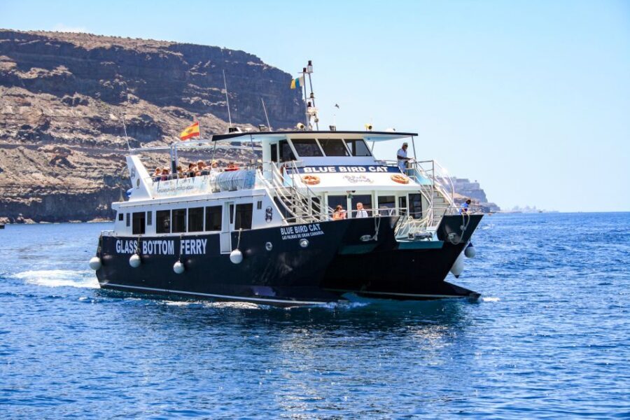 Gran Canaria: Catamaran Dolphin Watch Cruise with Snorkeling - From your hotel to Puerto Base: the easy start (and why pickup matters)