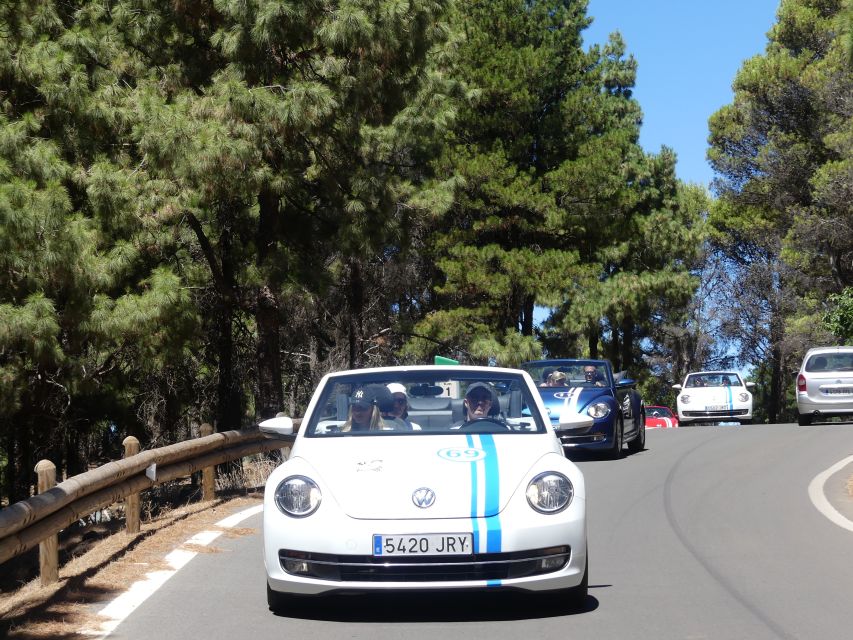 Gran Canaria: Convertible Beetle Tour - A convertible Beetle tour on Gran Canaria: why this works