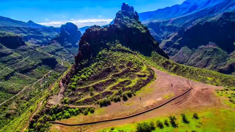 Gran Canaria: Convertible Beetle Tour - Aloe Vera Finca Canarias: a guided break with mixed vibes