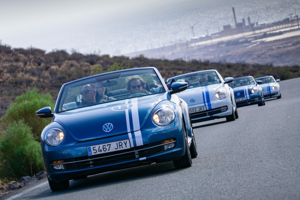 Gran Canaria: Convertible Beetle Tour - Pico de las Nieves: seeing Gran Canaria from the top
