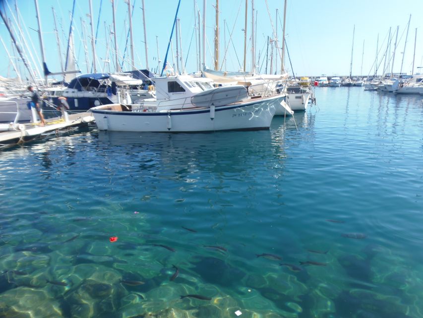 Gran Canaria: Customizable Private Tour - North and west vs museums and shopping: choose your Gran Canaria mood