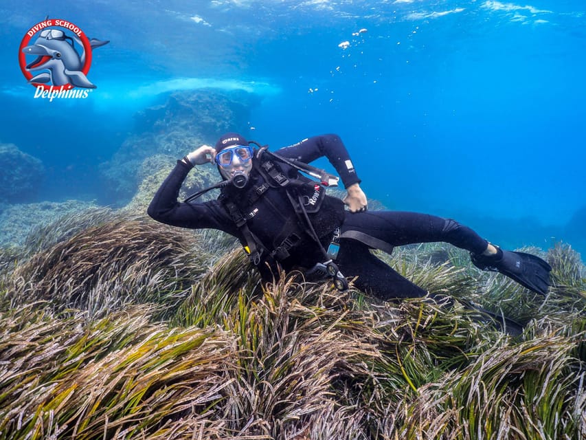 Gran Canaria: Discover Scuba Diving Beginner Program - Small group teaching in Mogán: the real value