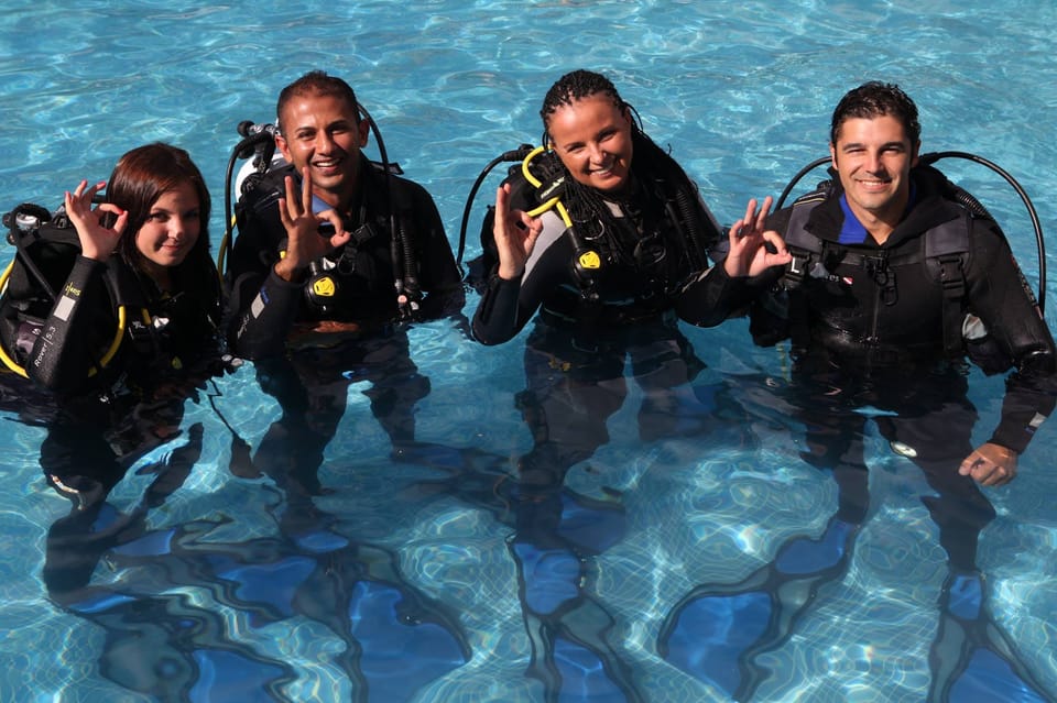 Gran Canaria: Discover Scuba Diving Beginner Program - Sea life and visibility: what to expect from the Atlantic