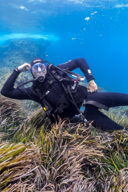 Gran Canaria: Discover Scuba Diving Beginner Program - Who this is best for (and who should skip it)