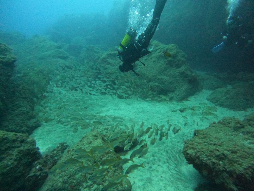 Gran Canaria: Discover Scuba Diving - Free Transfers - What This Beginner Scuba Experience Really Is