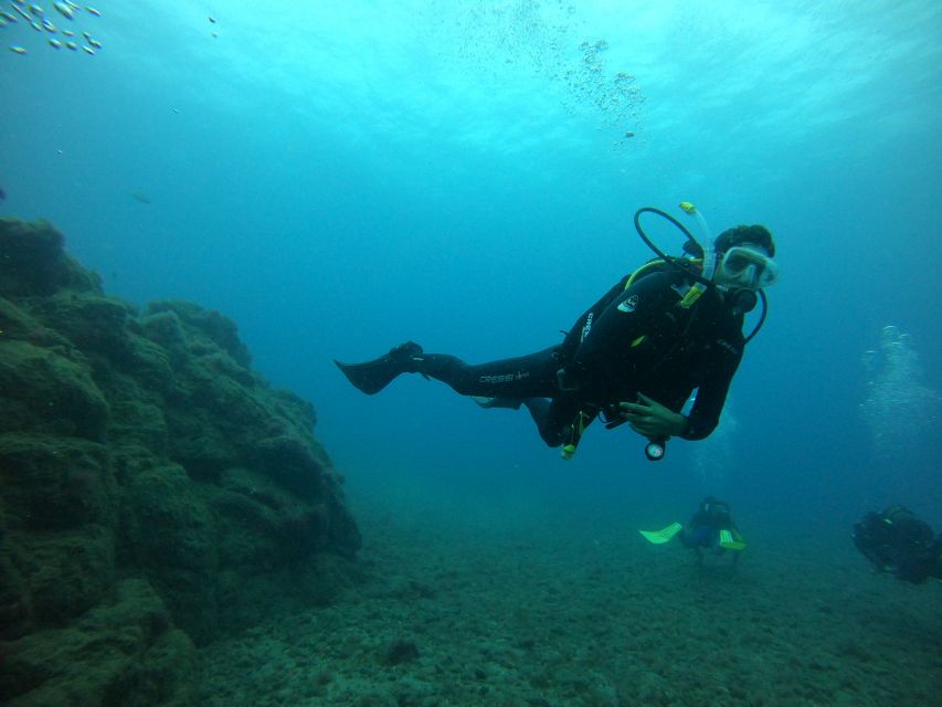 Gran Canaria: Discover Scuba Diving - Free Transfers - Training That Turns Nerves Into Skills (About 30 Minutes)
